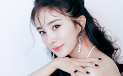 倒霉熊逃离房间下载